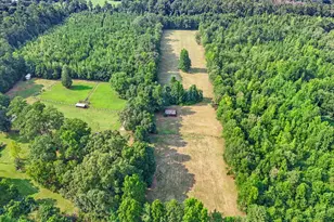 7525 Luthersville Rd, Gay, GA 30218 - Photo 81