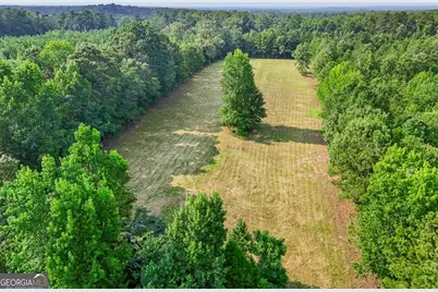 7525 Luthersville Road, Gay, GA 30218 - Photo 77