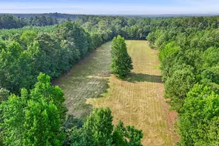 7525 Luthersville Rd, Gay, GA 30218 - Photo 77