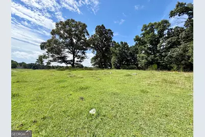 0 Double Bridge Connecter #LOT 3, Demorest, GA 30535 - Photo 9