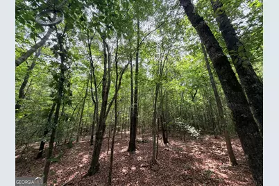 1 Norwood Road, Hull, GA 30646 - Photo 19