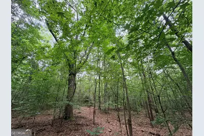 1 Norwood Road, Hull, GA 30646 - Photo 13