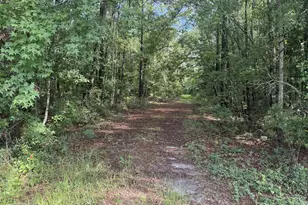 68 Johnson Rd, Richmond Hill, GA 31324 - Photo 1