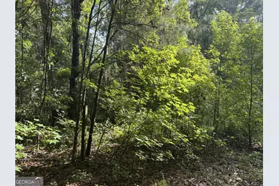 68 Johnson Road, Richmond Hill, GA 31324 - Photo 3