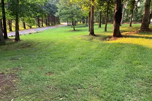 5251 Hwy 115 W, Cleveland, GA 30528 - Photo 5
