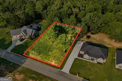 0 River Ridge Drive, Hawkinsville, GA 31036 - Photo 3