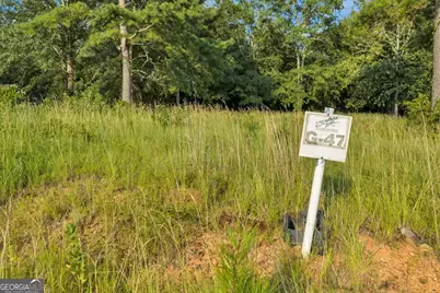 0 River Ridge Drive, Hawkinsville, GA 31036 - Photo 7