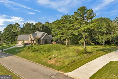 0 River Ridge Drive, Hawkinsville, GA 31036 - Photo 13