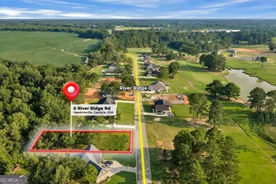 0 River Ridge Drive, Hawkinsville, GA 31036 - Photo 1