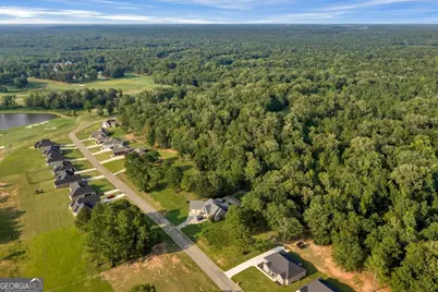 0 River Ridge Drive, Hawkinsville, GA 31036 - Photo 9