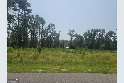 0 Chesley Drive, Vidalia, GA 30474 - Photo 1