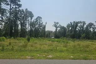 0 Chesley Dr, Vidalia, GA 30474 - Photo 1