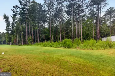 55 Sagebrook Lane, Newnan, GA 30263 - Photo 37