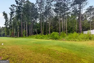 55 Sagebrook Ln, Newnan, GA 30263 - Photo 37