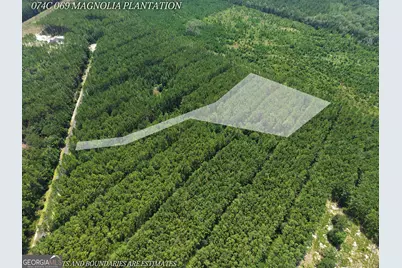 Lot 69 Magnolia Plantation, White Oak, GA 31568 - Photo 5