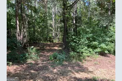 196 Old Scout Road, Jackson, GA 30233 - Photo 29
