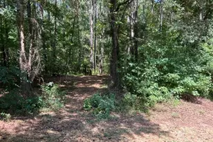 196 Old Scout Rd, Jackson, GA 30233 - Photo 29