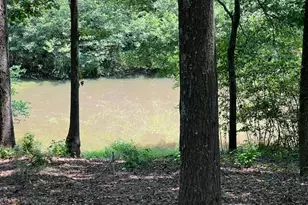 196 Old Scout Rd, Jackson, GA 30233 - Photo 3