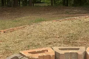 196 Old Scout Rd, Jackson, GA 30233 - Photo 33