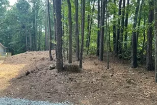 196 Old Scout Rd, Jackson, GA 30233 - Photo 35
