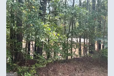 196 Old Scout Road, Jackson, GA 30233 - Photo 7