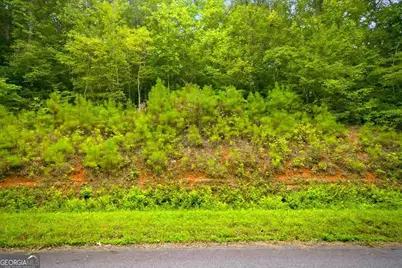 0 J C Daniell Road, Carrollton, GA 30117 - Photo 9