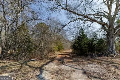 2644 Nunnally Shoals Tract 2 Road, Good Hope, GA 30641 - Photo 7