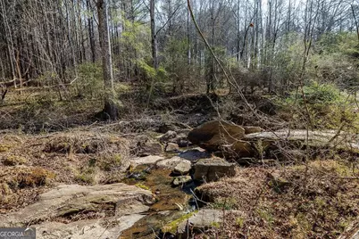 2644 Nunnally Shoals Tract 2 Road, Good Hope, GA 30641 - Photo 15
