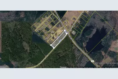 0 Old Montrose Road, Montrose, GA 31065 - Photo 1