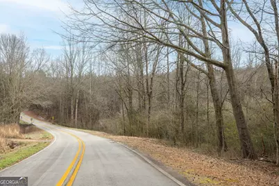 740 Broad River Church Road #TRACT A, Eastanollee, GA 30538 - Photo 9