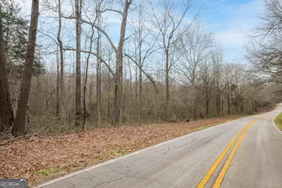 740 Broad River Church Road #TRACT B, Eastanollee, GA 30538 - Photo 3