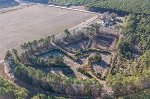 2051 Oliver Hwy, Newington, GA 30446 - Photo 29