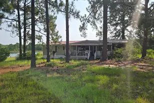 46 Tony Baker Ln, Garfield, GA 30425 - Photo 7
