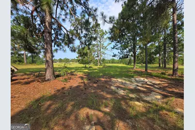 46 Tony Baker Lane, Garfield, GA 30425 - Photo 37