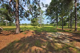 46 Tony Baker Ln, Garfield, GA 30425 - Photo 37