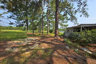 46 Tony Baker Ln, Garfield, GA 30425 - Photo 39