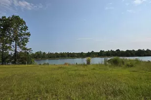 46 Tony Baker Ln, Garfield, GA 30425 - Photo 31