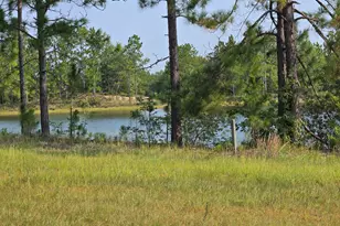 46 Tony Baker Ln, Garfield, GA 30425 - Photo 43