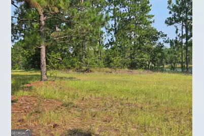 46 Tony Baker Lane, Garfield, GA 30425 - Photo 35