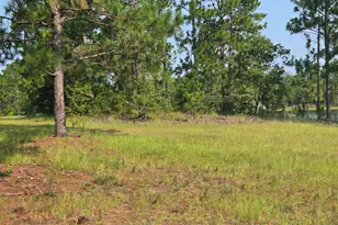 46 Tony Baker Ln, Garfield, GA 30425 - Photo 35