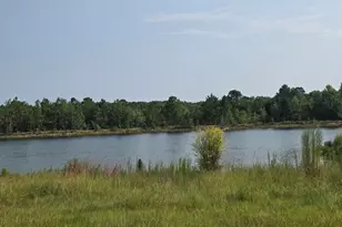 46 Tony Baker Ln, Garfield, GA 30425 - Photo 33