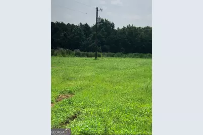 0 Mosley Road, Uvalda, GA 30473 - Photo 3