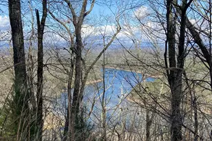 #139 Genessee Path, Blue Ridge, GA 30513 - Photo 1