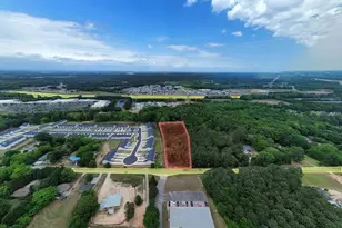 395 Carl Bethlehem Rd, Bethlehem, GA 30620 - Photo 11