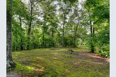 387 Ruby Lane, Mineral Bluff, GA 30559 - Photo 57