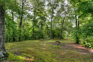 387 Ruby Ln, Mineral Bluff, GA 30559 - Photo 57