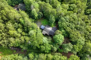 387 Ruby Ln, Mineral Bluff, GA 30559 - Photo 61