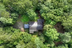 387 Ruby Ln, Mineral Bluff, GA 30559 - Photo 3