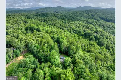 387 Ruby Lane, Mineral Bluff, GA 30559 - Photo 63