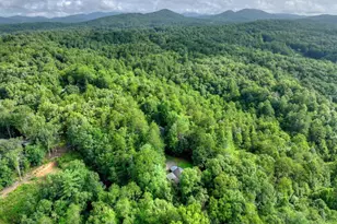 387 Ruby Ln, Mineral Bluff, GA 30559 - Photo 63